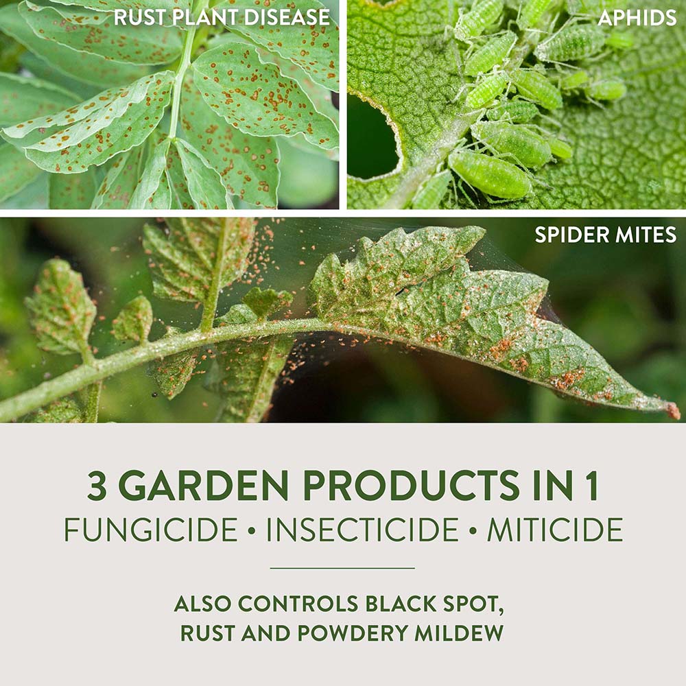 HG-83197 Fungicide3® Concentrate, 28 fl oz - 3 Garden Products in 1
